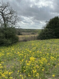 Img 0507