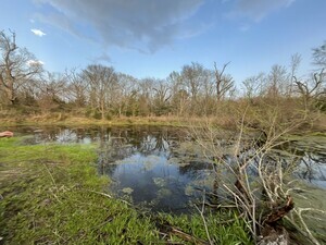 Img 0113