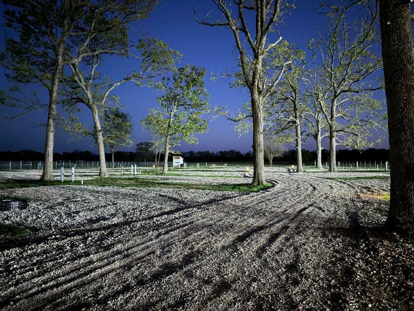 Whatsapp Image 2026 03 22 At 9 32 22 Pm  14 