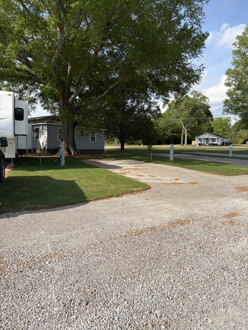 Img 7597
