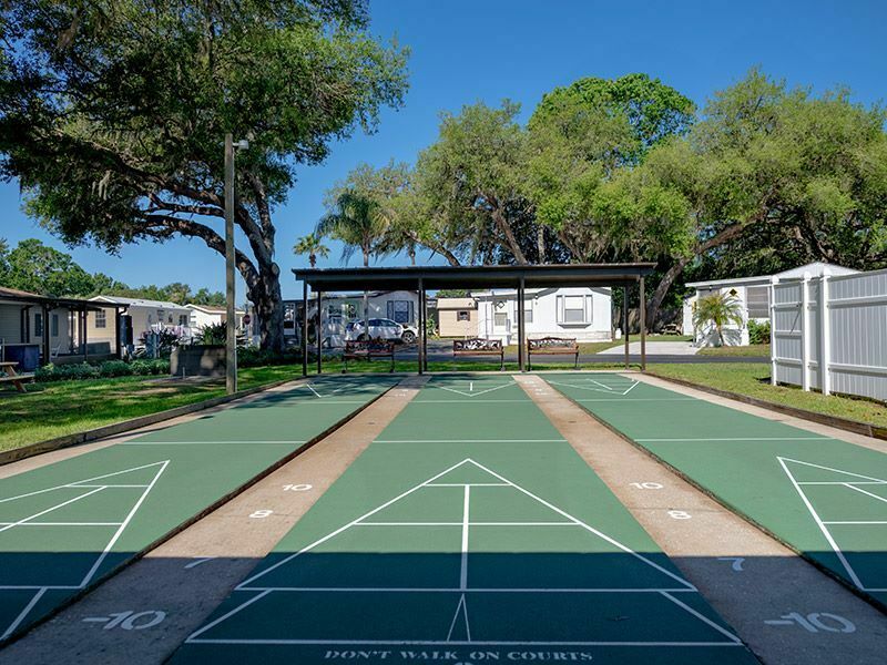 Citrus Hill Shuffleboard  1 