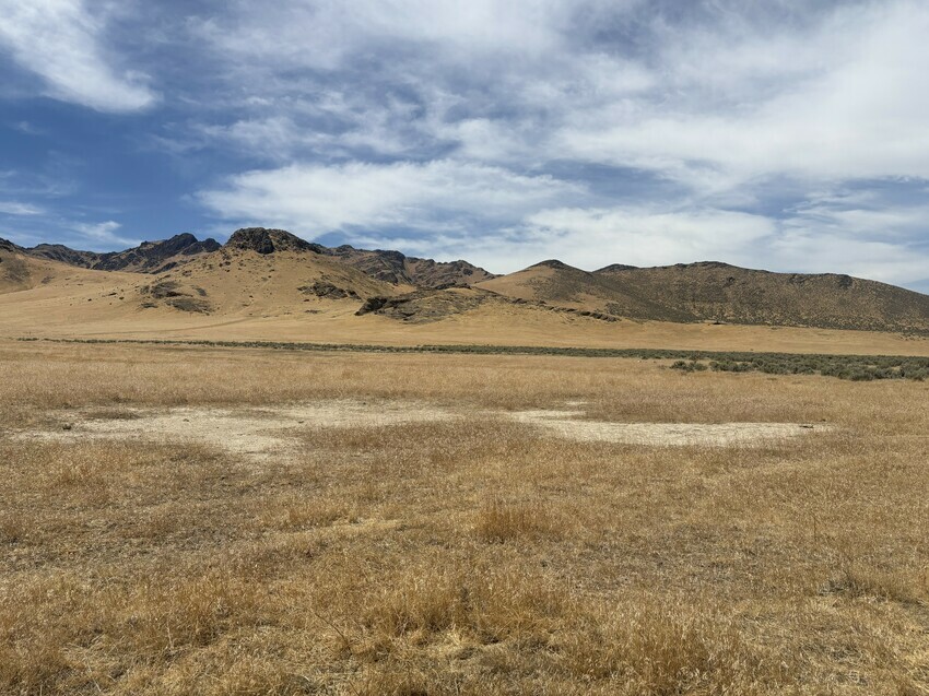 Img 20250809 131509