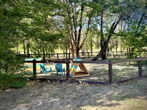 Beautifuldogpark