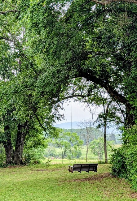 Tent Site 25 Swing