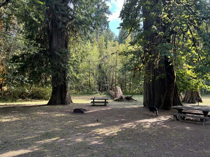 Big Cedars