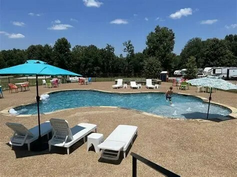 Red Fox Pool Photo  1 