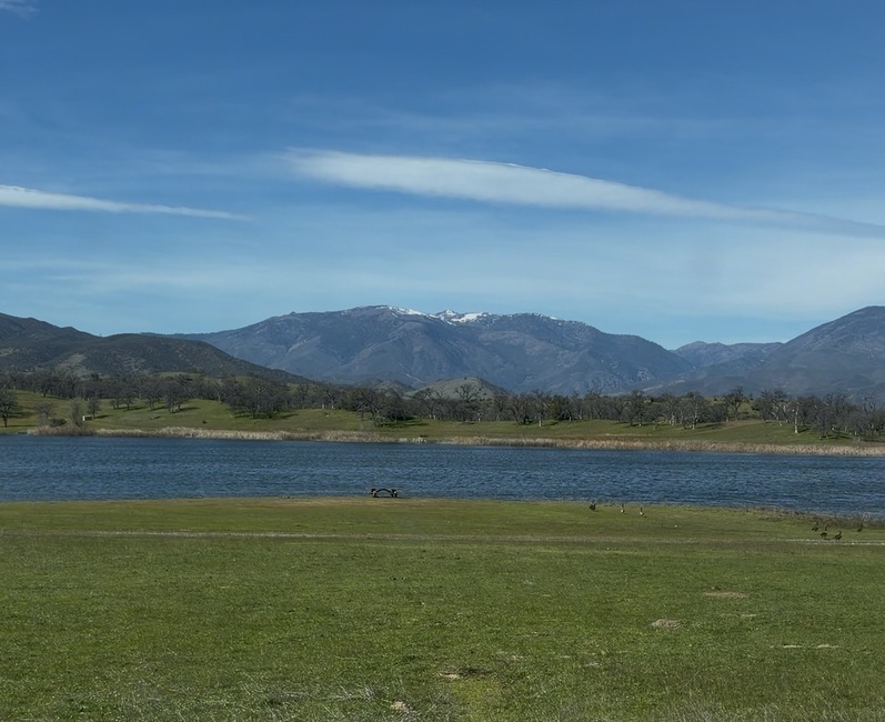 Spring Hill