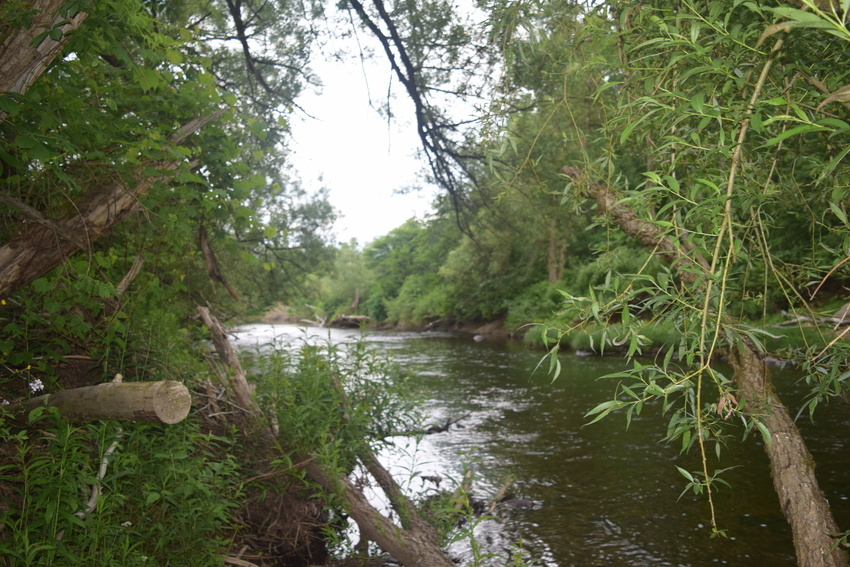 Dsc 0051
