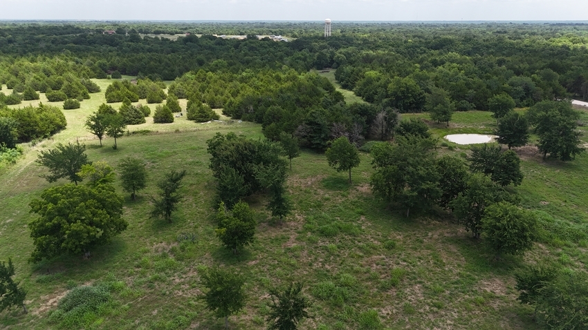 Dji 20260609135229 0147 D