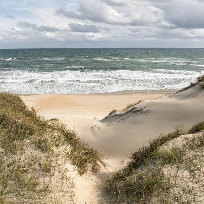 The Dune