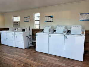 Hannah Fallows Sunnyoaksjanuary2026 110