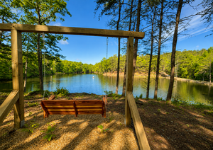 Swing Overlooking The Lake