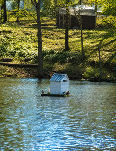 Our floating duck house