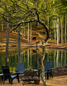 Our animals enjoy the peaceful private lake