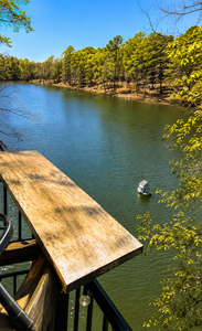 a look from the back deck of the rustic cabin we call Serenity