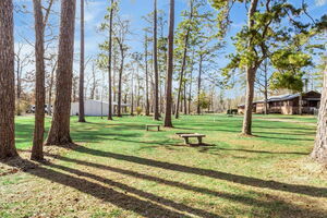 56 Web Or Mls Bundick Lake Retreat   Rv 44