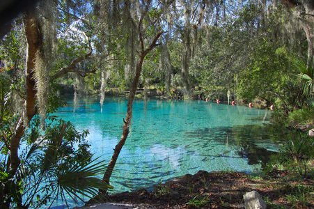 Best 10 Ocala, Florida RV Parks & Campgrounds | Ocala ...